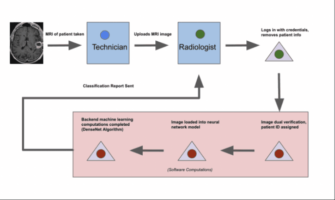 Brain MRI Classification System project visual